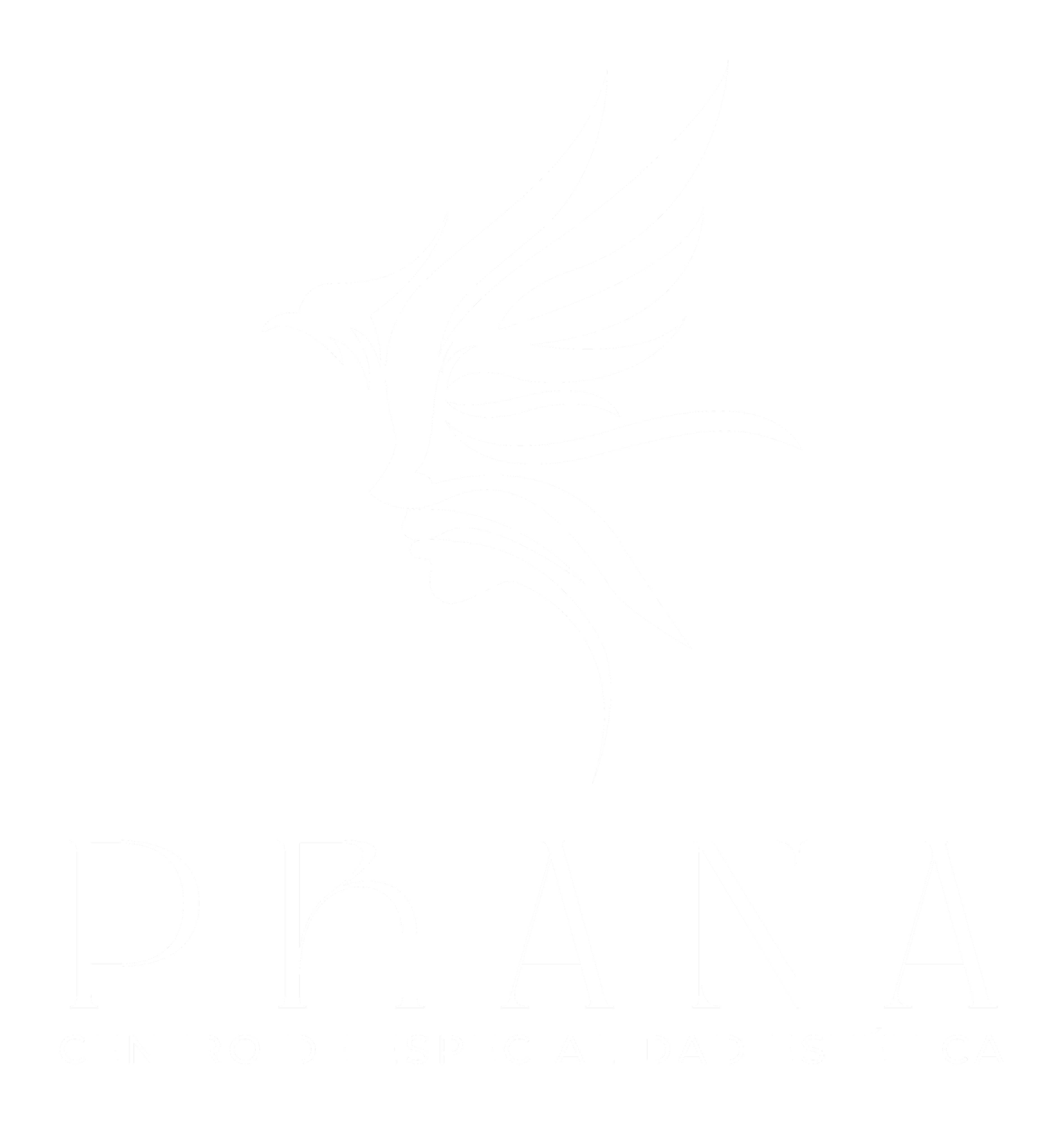 Prana — Centro de Especialidad Estética